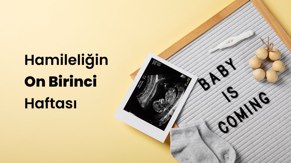 Hamileliğin On Birinci Haftası