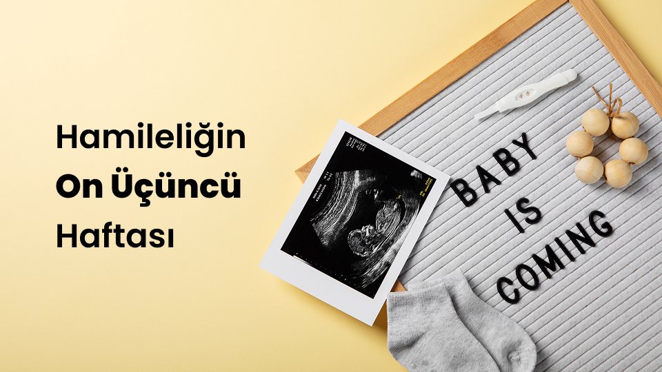 Hamileliğin On Üçüncü Haftası