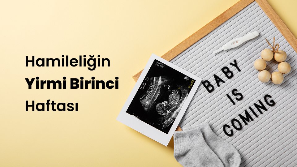 Hamileliğin Yirmi Birinci Haftası