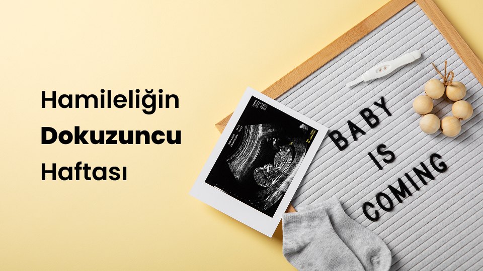 Hamileliğin Dokuzuncu Haftası