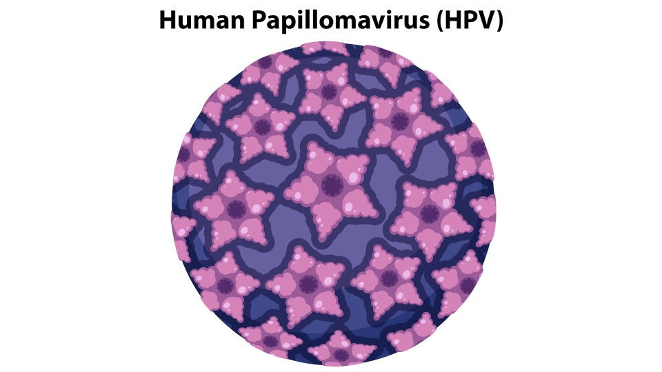 HPV Pozitif Nedir?